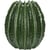 Vert Brillant