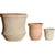 Beige Clair Et Terre Cuite