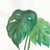 Tableau Alu Dibond