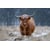 Tableau Alu Dibond