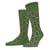 Fir Green (7656)