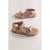 Marron Fauve