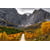 Tableau Alu Dibond