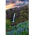 Tableau Alu Dibond