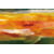 Tableau Alu Dibond
