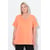 Corail