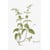 Tableau Alu Dibond