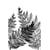 Tableau Alu Dibond