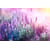 Tableau Alu Dibond