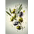 Tableau Alu Dibond