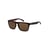 Marron Brown Tortoise/Brown