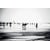 Tableau Alu Dibond