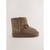 Ours Brun Chocolat