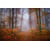 Tableau Alu Dibond