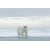 Tableau Alu Dibond