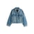 Bleu Moyen