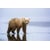 Tableau Alu Dibond