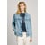 Blue Grey Rigid