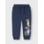 Insignia Blue