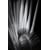 Tableau Alu Dibond