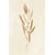Tableau Alu Dibond
