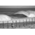 Tableau Alu Dibond