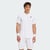 White / Dash Grey