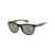 Marron Tortoise Brown/Green Plz