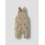 Marron - Island Fossil 1