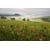 Tableau Alu Dibond