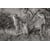 Tableau Alu Dibond