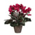 Rose Foncé