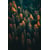 Tableau Alu Dibond