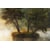 Tableau Alu Dibond