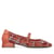 Corail
