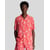 Rouge Flamboyant
