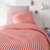 Gestr Roze