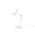 Branco