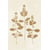 Tableau Alu Dibond