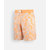 Corail