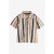 Rayures En Zigzag Marron