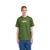 Vert Bronze Green