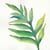 Tableau Alu Dibond