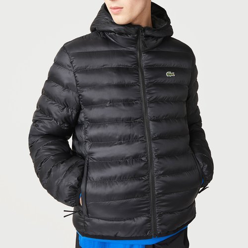 Lacoste padded jacket mens discount