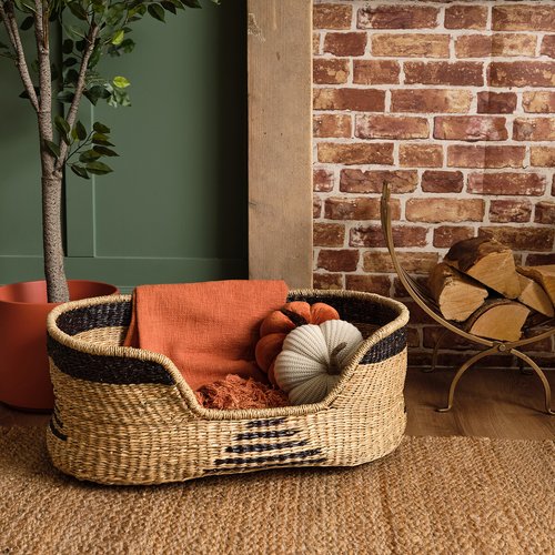 Wicker dog basket pets at home outlet