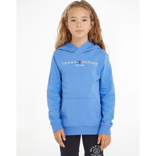Tommy hilfiger light blue sweatshirt on sale