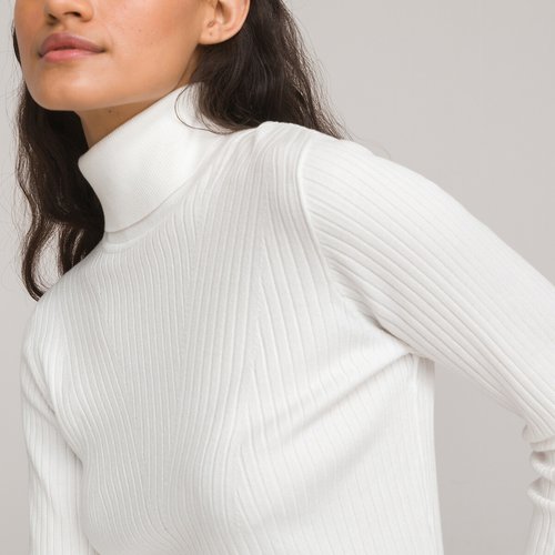 Ribbed turtleneck jumper online