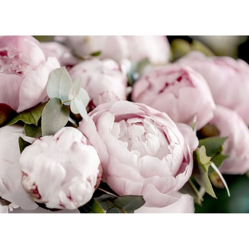 Tableau Toile Intissé Pivoines - Impression Murale Murando, Référence B-B-0398-b-m
