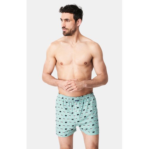 Calecon de nuit en coton meeuuh vert Arthur La Redoute