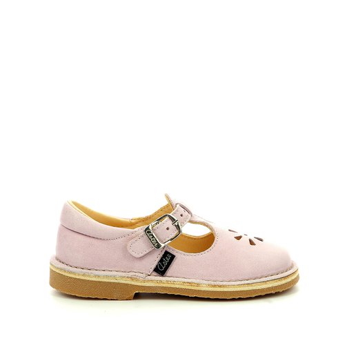 Aster dingo outlet